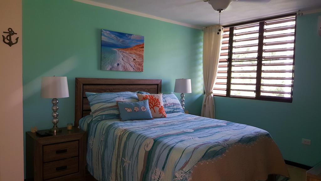 Fully Air-Conditioned Beach Front Penthouse Apartment Naguabo المظهر الخارجي الصورة